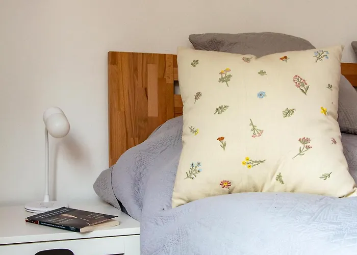 Cheyf Modern In Center * Sarajevo